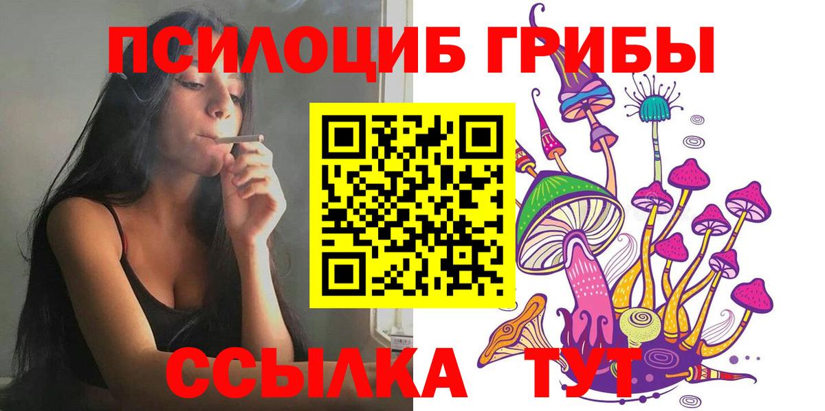 Курчатов  Галлюциногенные грибы Psilocybine cubensis  как найти наркотики  Галлюциногенные грибы прущие грибы  Вход с VPN 